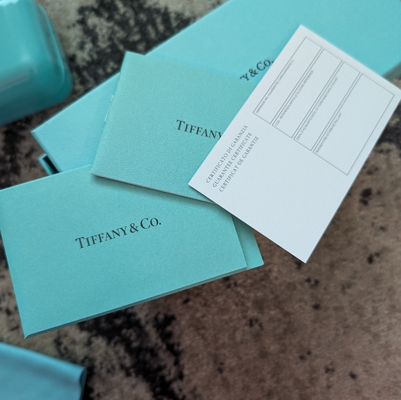 NWOT Tiffany & Co. Hard shell Glasses Case, Gift Box, Cleaning Cloth, BLANK COA - Picture 16 of 16